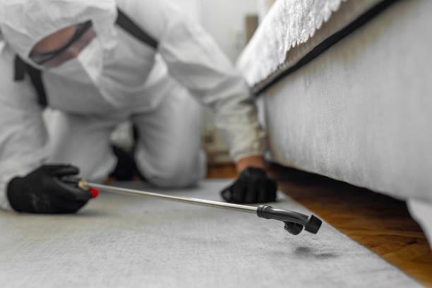 Professional Termite Control technician working in Enterprise, OR