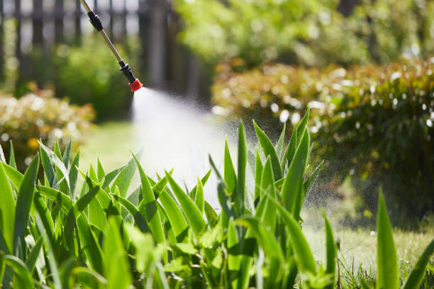24/7 Emergency Termite Control experts in Enterprise, OR