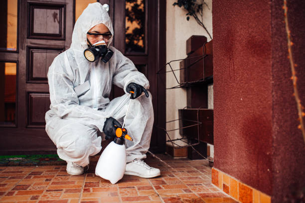 Reliable Termite Control contractor in Enterprise, OR by Nex Pest Control